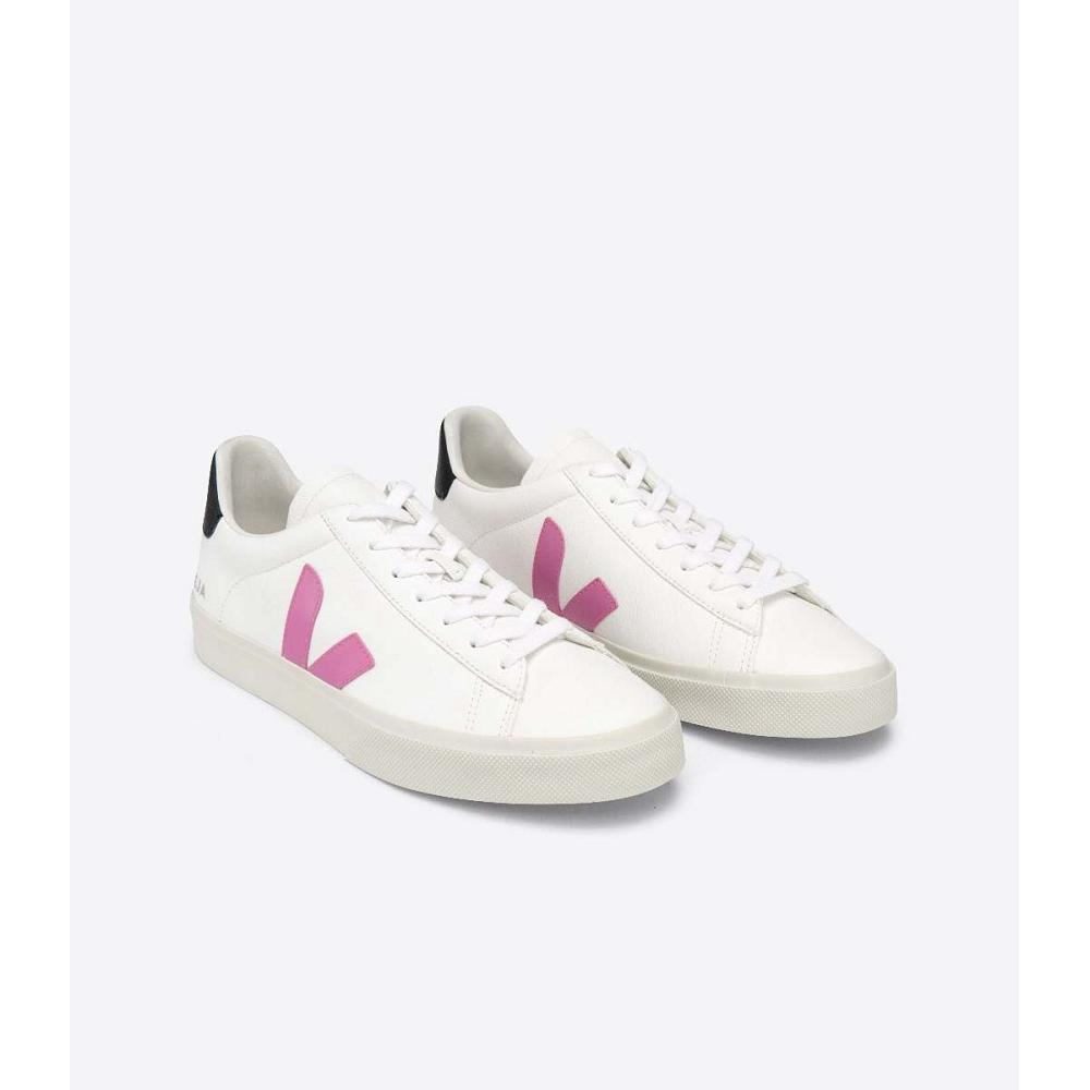 Veja CAMPO CHROMEFREE Low Tops Sneakers Dames White/Purple | BE 597FDN